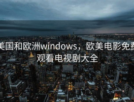 美国和欧洲windows，欧美电影免费观看电视剧大全