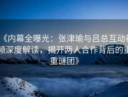《内幕全曝光：张津瑜与吕总互动视频深度解读，揭开两人合作背后的重重谜团》