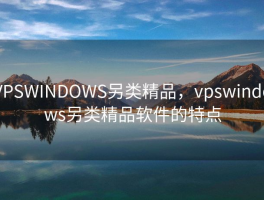 VPSWINDOWS另类精品，vpswindows另类精品软件的特点