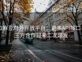 91麻豆对外开放平台：更多API接口与三方合作迎来二次爆发