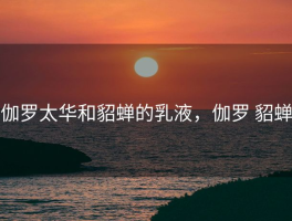 伽罗太华和貂蝉的乳液，伽罗 貂蝉