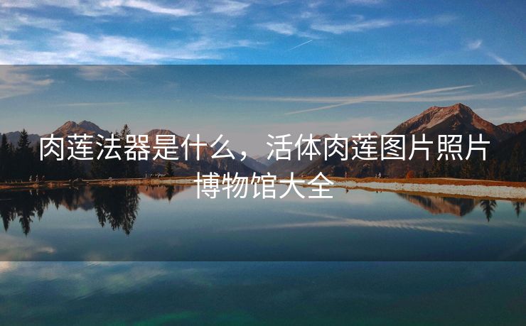 肉莲法器是什么，活体肉莲图片照片博物馆大全