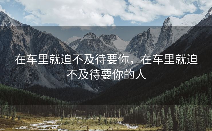 在车里就迫不及待要你，在车里就迫不及待要你的人